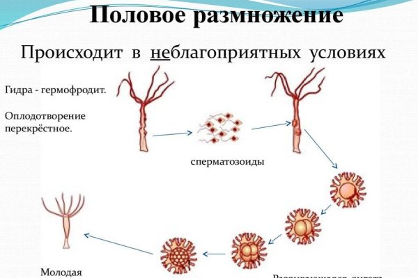 Кракен маркет даркнет только через тор скачать