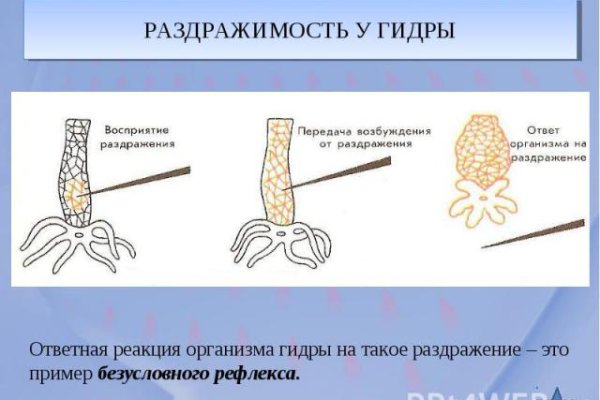 Кракен это что за сайт