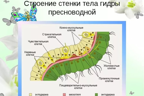Кракен как попасть
