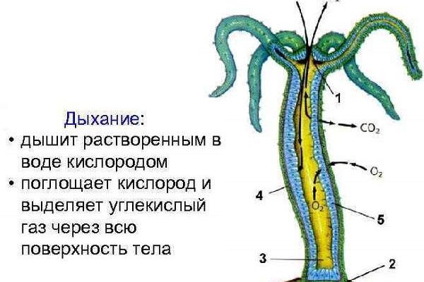 Кракен маркетплейс почему не закроют