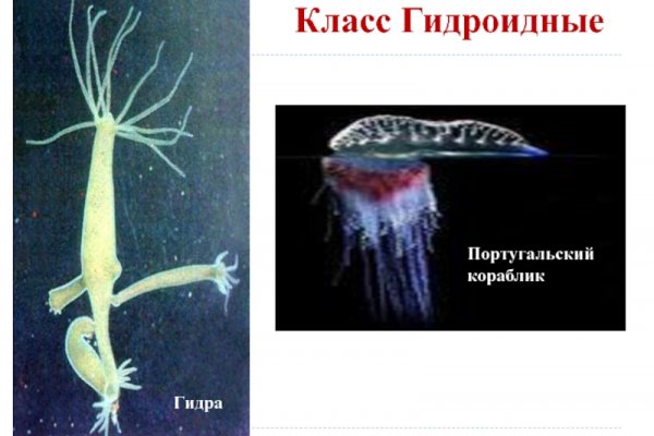 Kraken ссылка актуальная