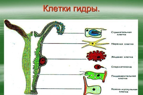 Переход на кракен