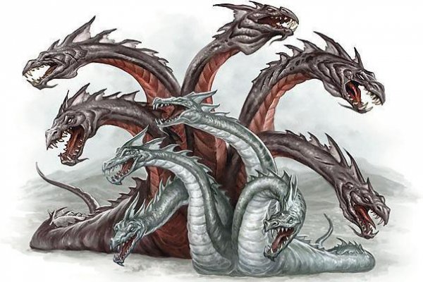 Kraken20 at