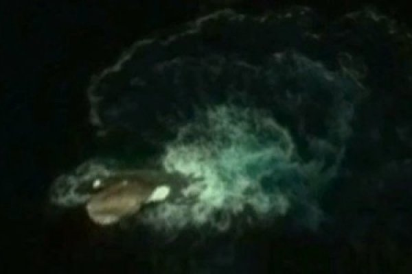 Kraken 19 at сайт