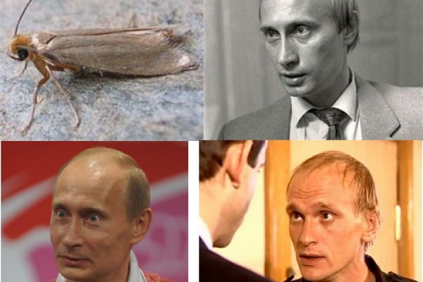 Дарк нет вход