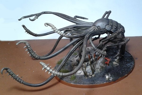 Kraken 24 top