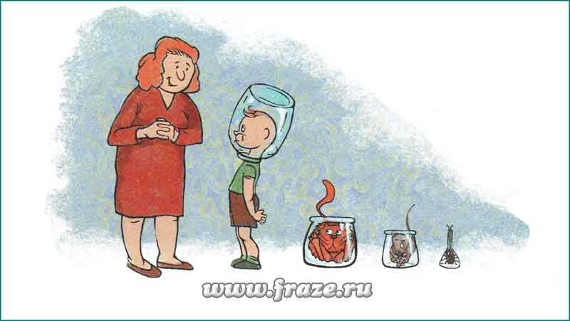 Кракен шоп нарк